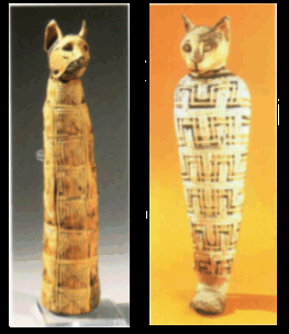 Ancient Egyptian cat mummies
